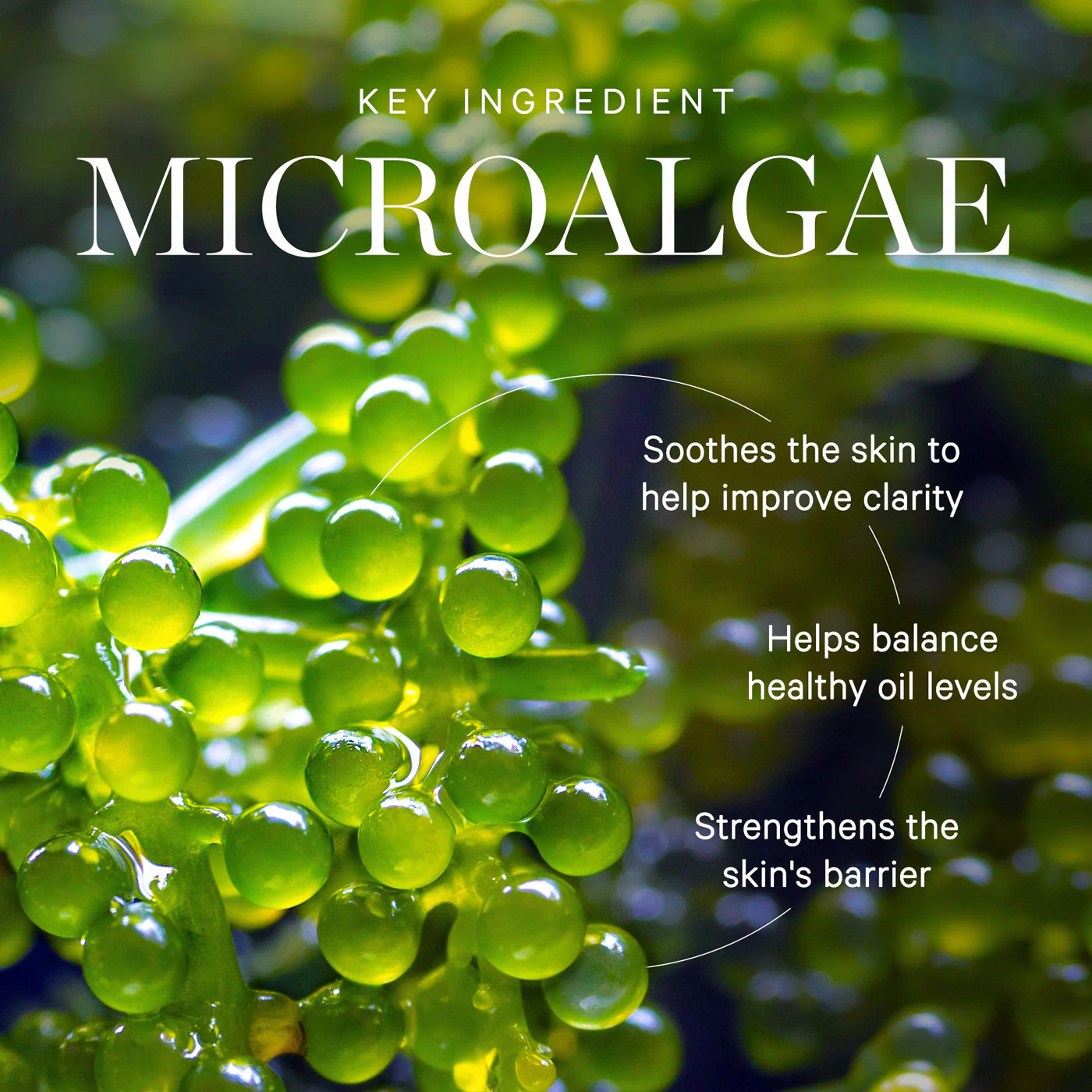 Active Algae Calming Cleansing Balm - Image 5