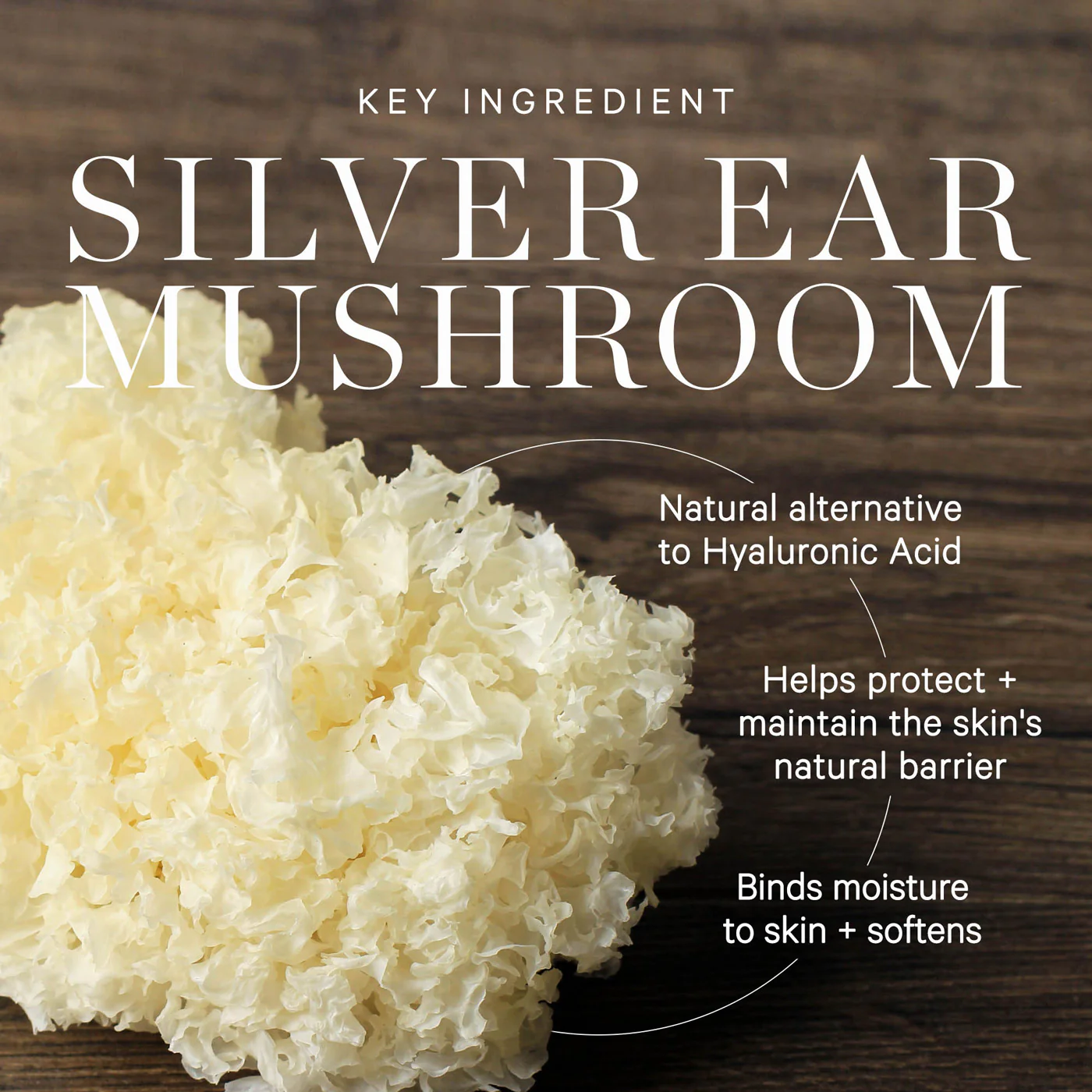 Milky Mushroom Gentle Cleansing Oil - Image 4