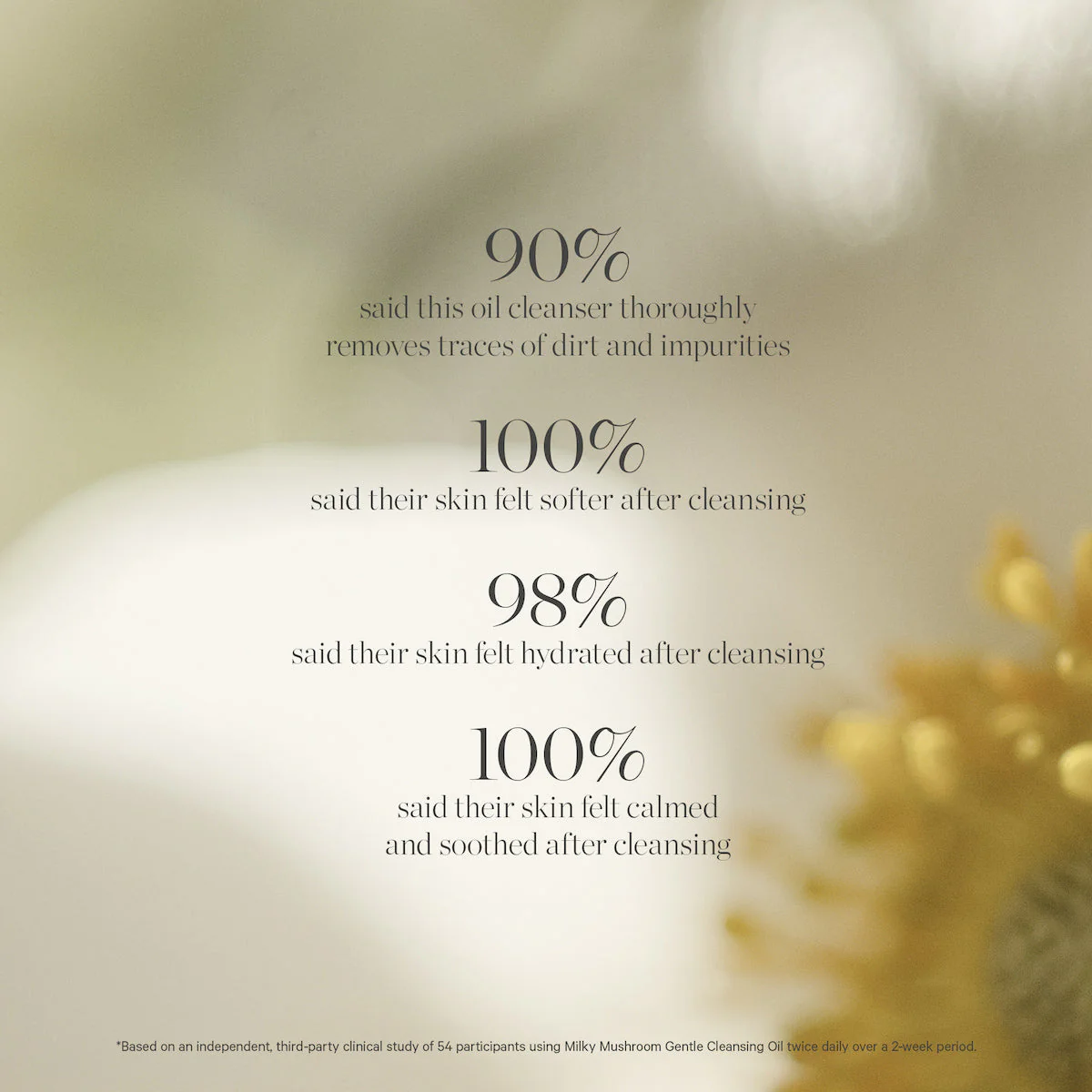 Milky Mushroom Gentle Cleansing Oil - Archive Sale - Image 4