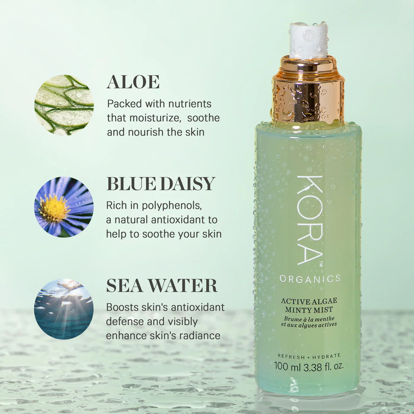 Active Algae Minty Mist - Image 6