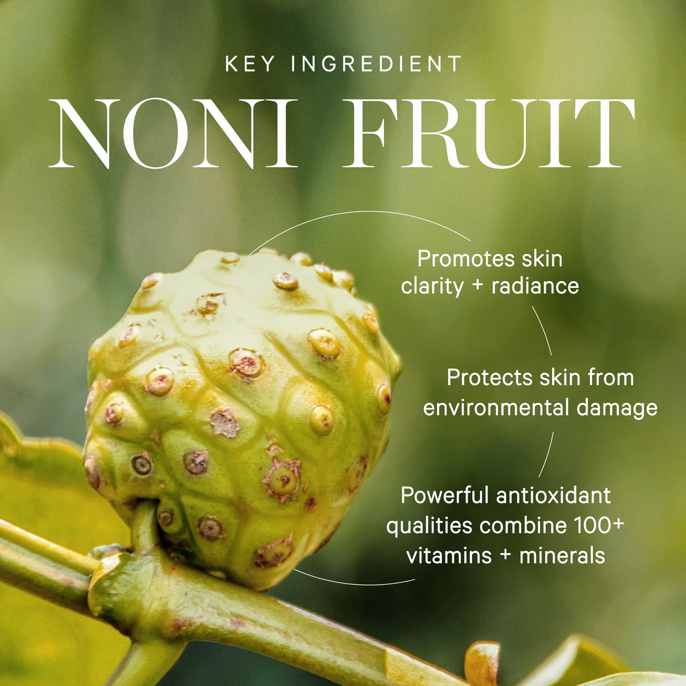 Noni Glow Body Oil - Image 4